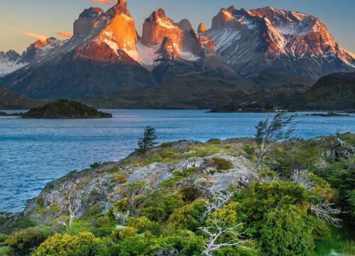 Patagonia Colosal