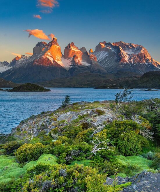 Patagonia Colosal