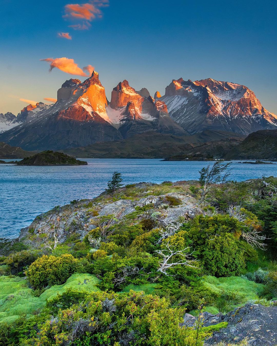 Patagonia Colosal